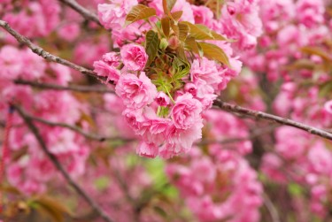 南通通州区6线下个人借款平台一站式服务，轻松解决资金难题